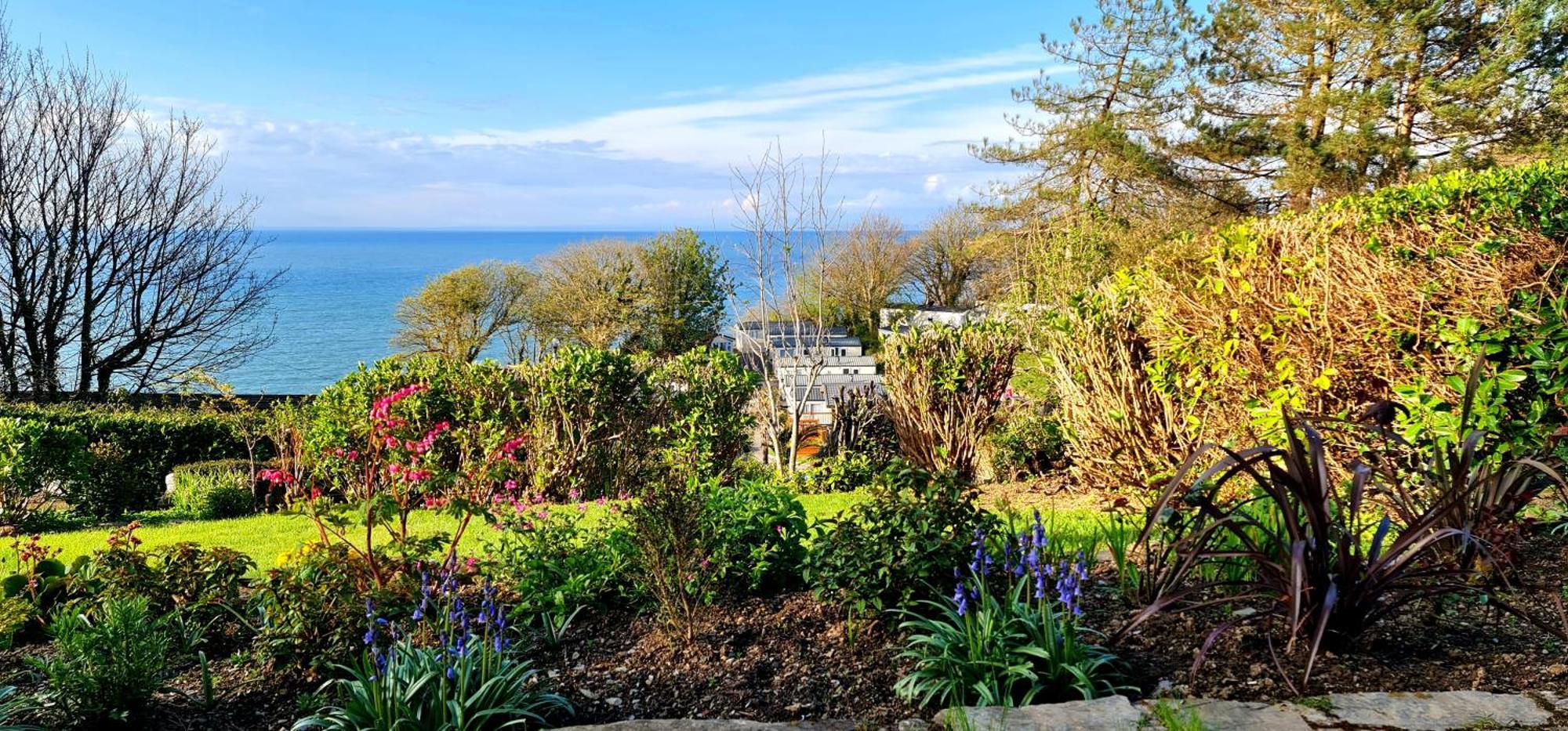 Newberry Wood Guesthouse Ilfracombe Eksteriør billede